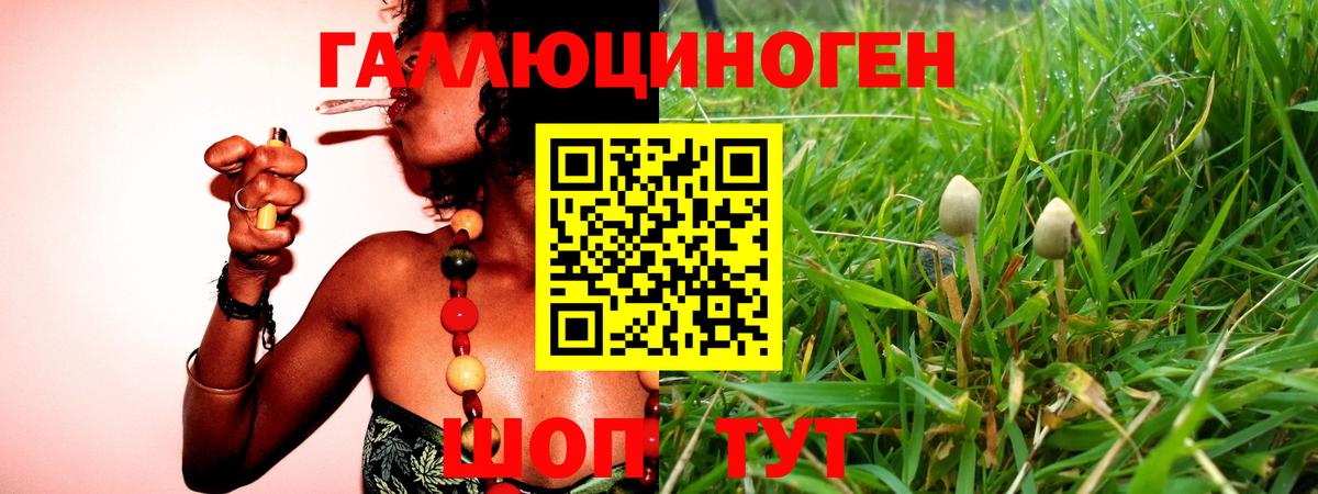 Псилоцибиновые грибы прущие грибы  Вход с VPN  даркнет сайт  Сыктывкар 